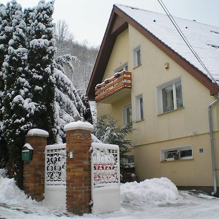 Villa Harmonia Panzio 비셰그라드 외부 사진